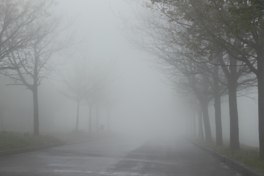 ESPAÑA EN UNA ESPESA NIEBLA                             7
