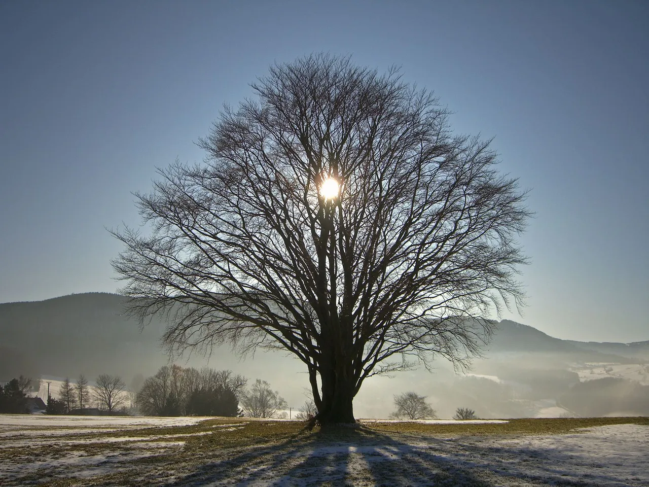 SOLSTICIO DE INVIERNO       40