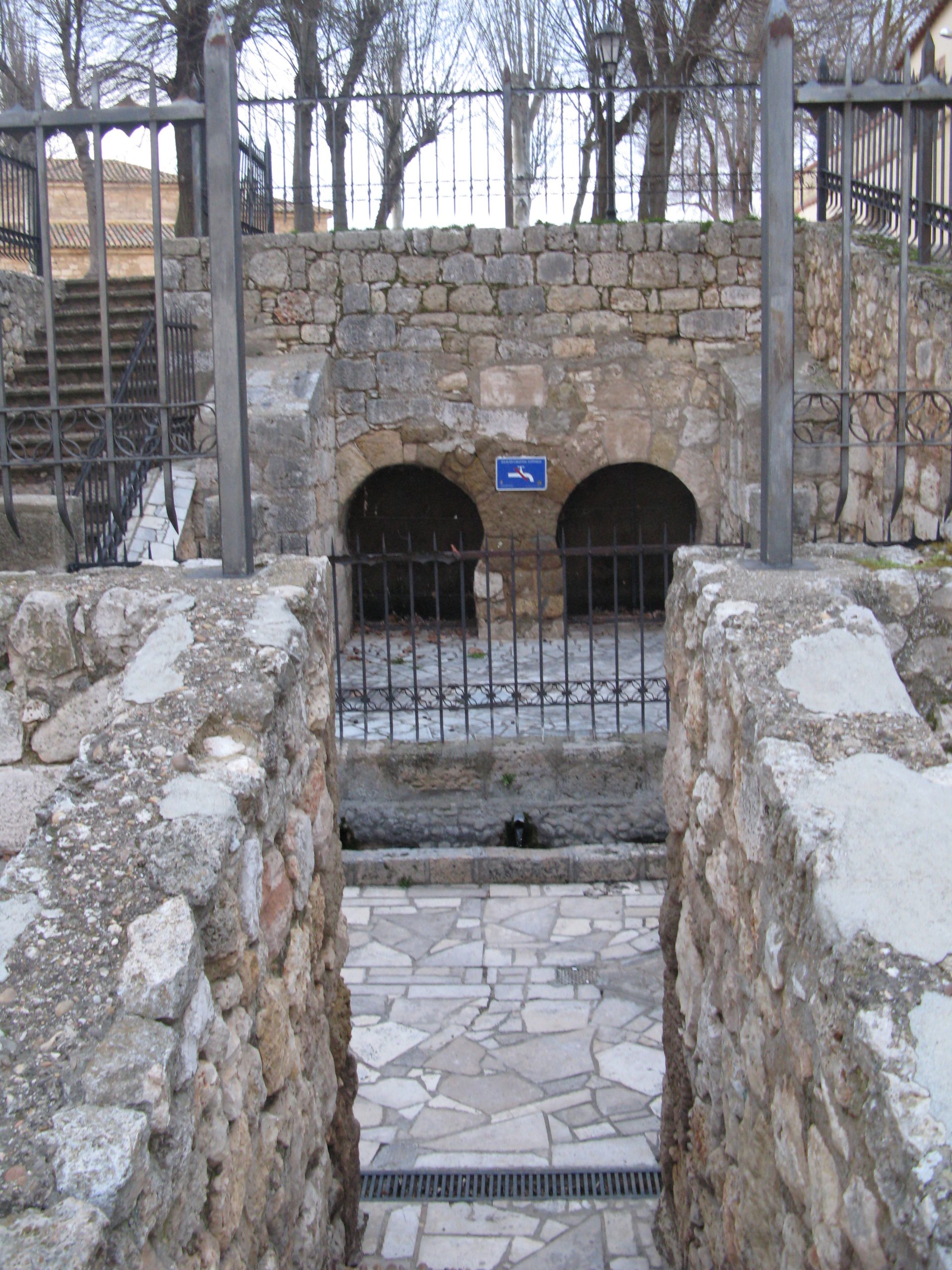 FUENTE DE RECESVINTO . FUENTE DE SAN JUAN DEL CERRATO-22R