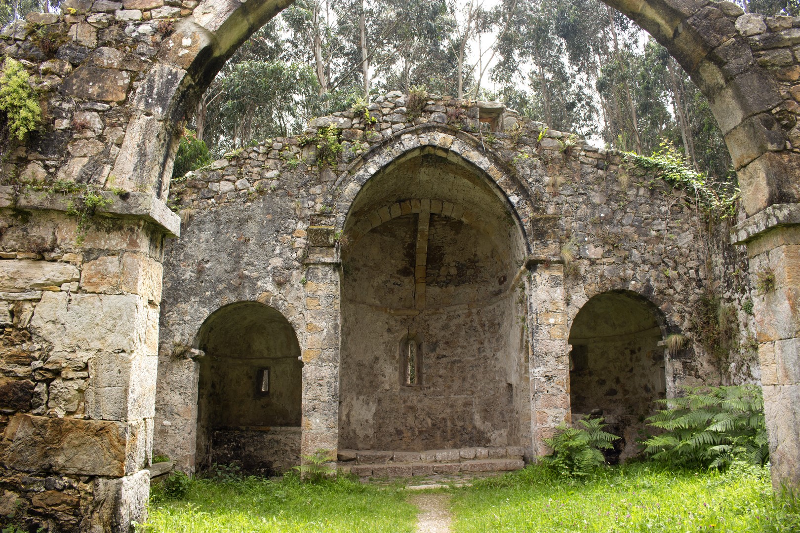 RUINAS DE UN MONASTERIO CISTERCIENSE EN UN BOSQUE A LA ORILLA DEL MAR    54