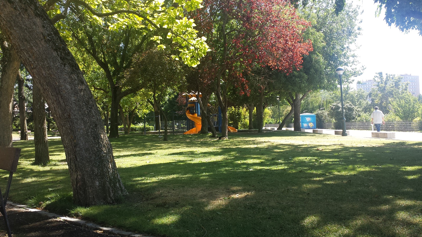 LA HISTORIA DEL PASEO DE LAS MORERAS DE VALLADOLID                  31